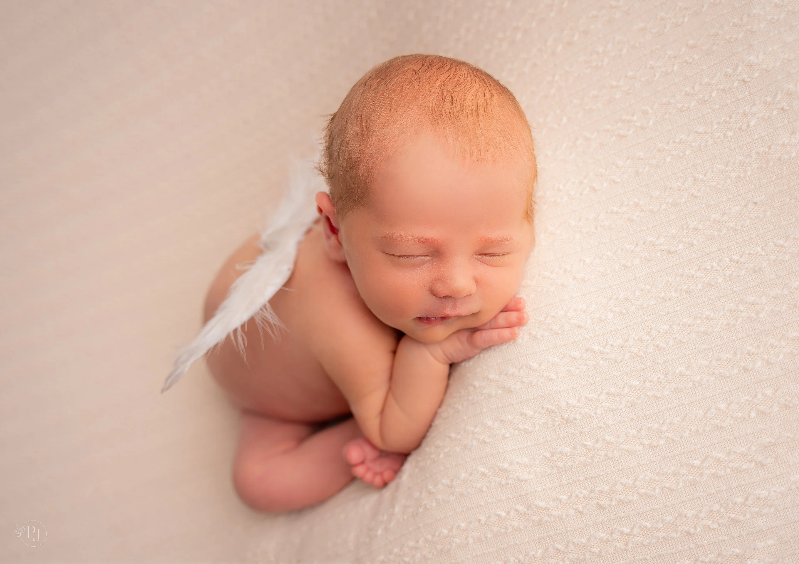 Guilherme Dornelles Moraes