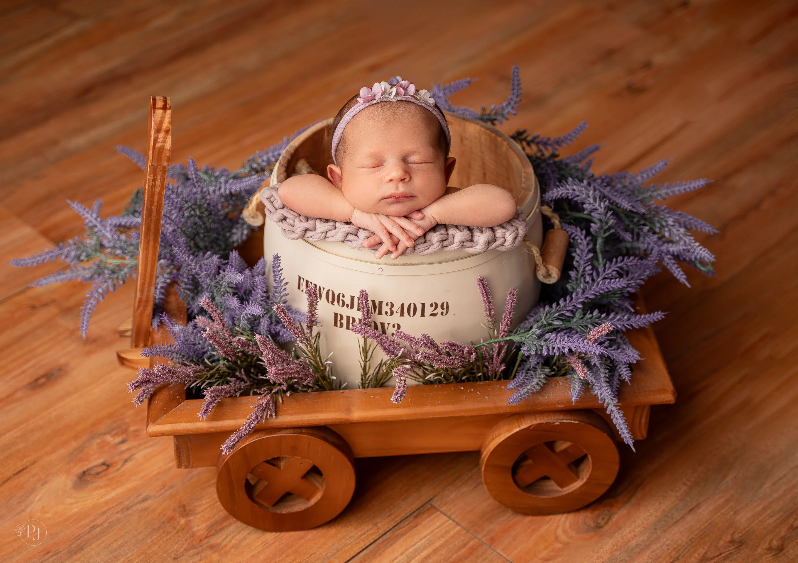 Lívia Martins Schunemann