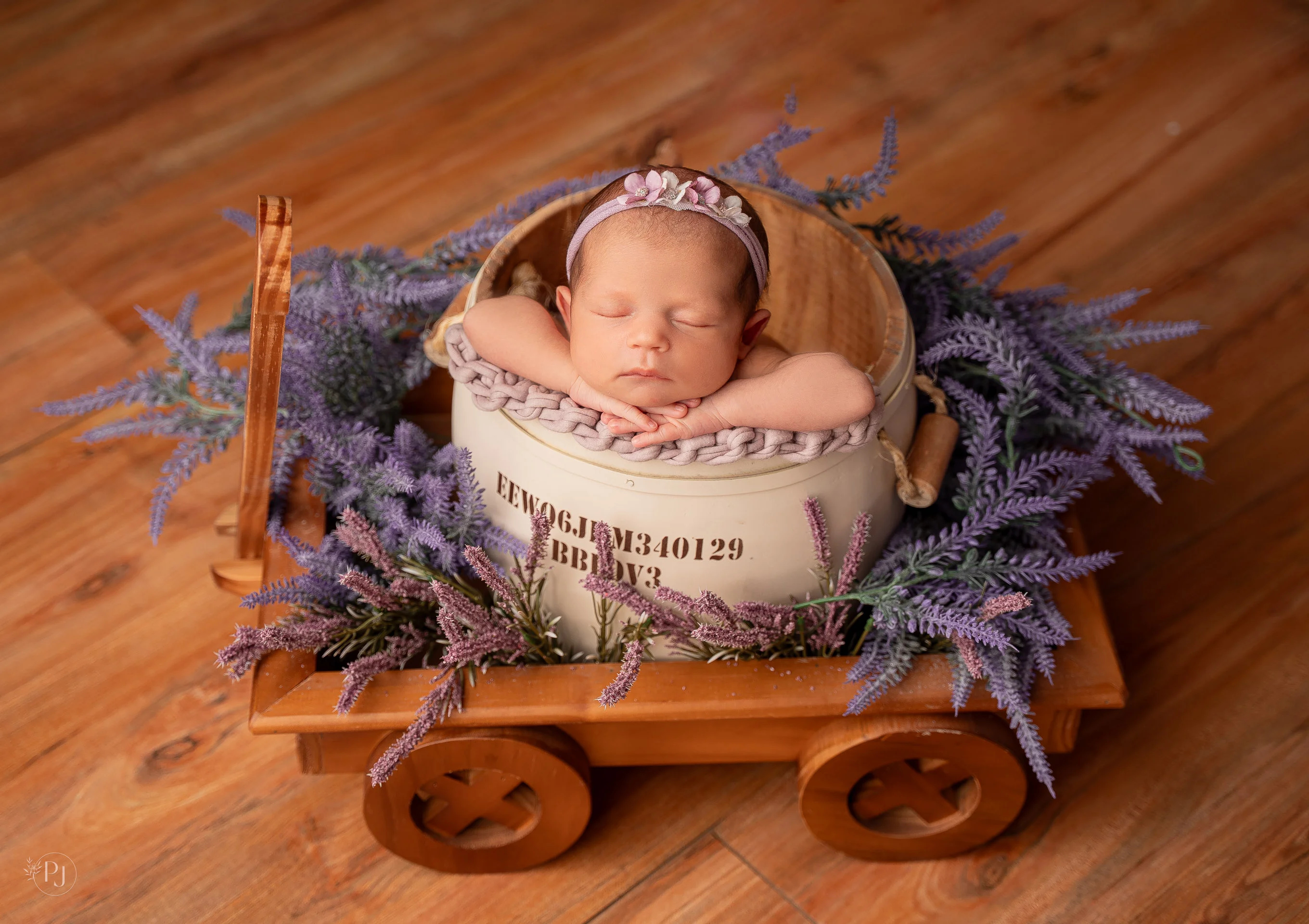 Lívia Martins Schunemann